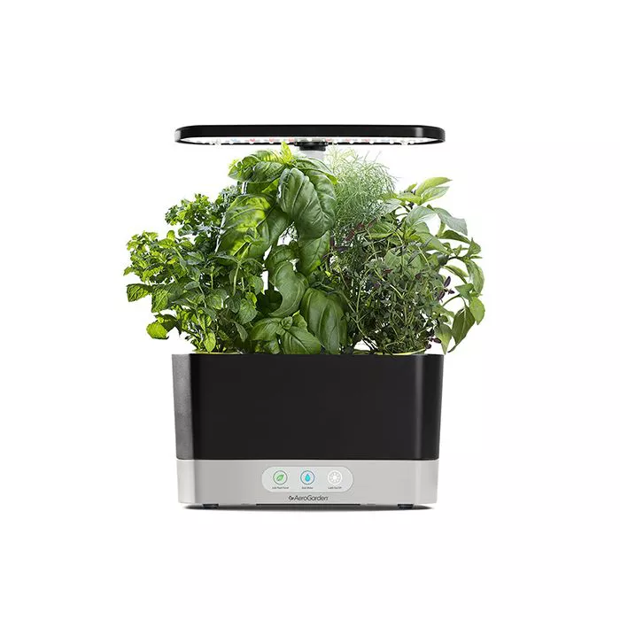 Harvest AeroGarden
